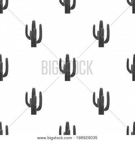 Mexican cactus icon in black style isolated on white background. Mexico country symbol vector illustration.