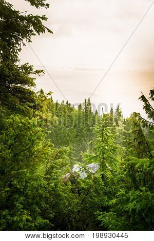 A Beautiful Panorama Of Lake And Forest From Koli National Park Peaks