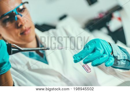 Scientist Researching In Laboratory, Color Image, Toned Image, Selective Focus