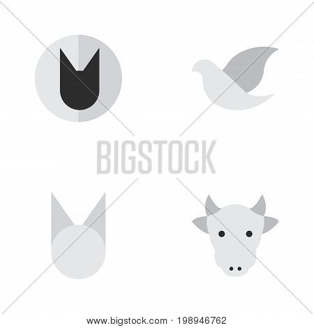 Elements Cat, Tomcat, Kine And Other Synonyms Cat, Kine And Cow.  Vector Illustration Set Of Simple Wild Icons.