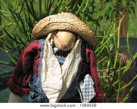 关于前面门廊花园波莉稻草人