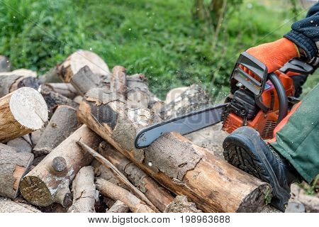 Man saws firewood with a red chainsaw