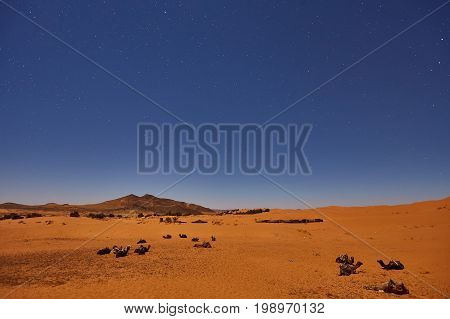 Camp In Sahara Desert In Night With Moon As Star
