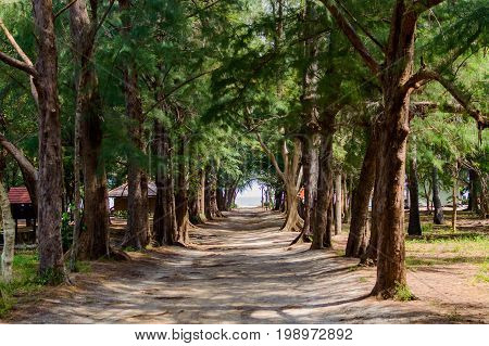Khao Sam Roi Yot National Park In Kui Buri District, Prachuap Khiri Khan Province, Thailand