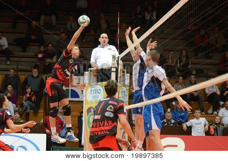 KAPOSVAR, Ungheria - 6 marzo: Roland Gergye (8) colpisce la palla a un campionato nazionale ungherese