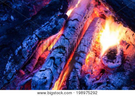 Bright fire of a fire burning firewood