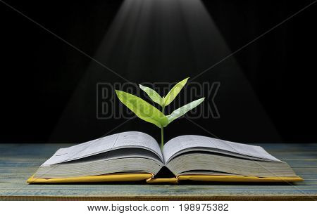 tree grow up from book with light shining as geting knowledge on black background concept as opening paper will see knowledge of the world learning by yourself and improve your life everywhere