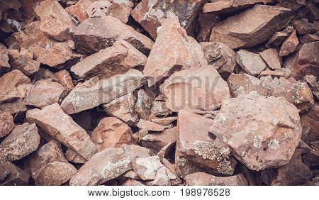 Texture background stones rock form gray pink yellow flowers on the mountainside