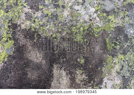 Texture, background of stones in the mountains, with moss