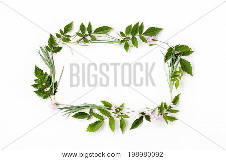 Flowers Composition. Frame Made Of Pink Carnation Flowers And Needle-shaped And Big Astilba Green Le
