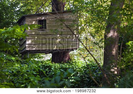 Adventure treehouse in summer hidden in the woods
