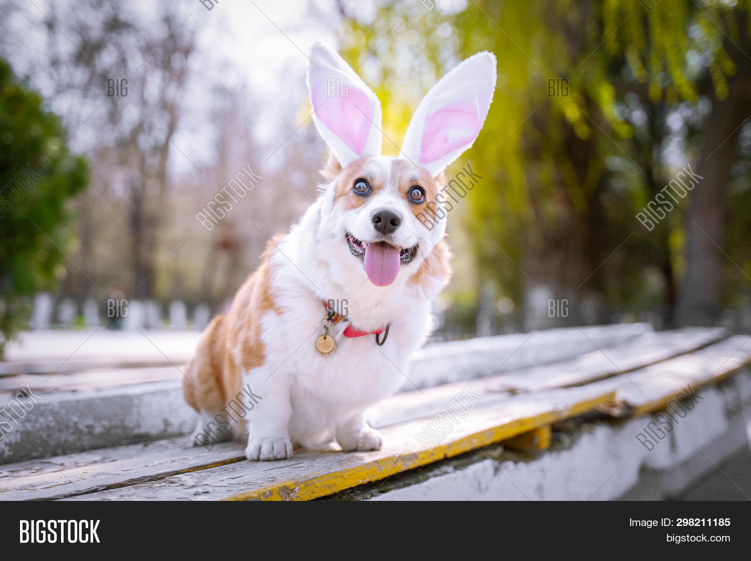 corgi ears headband