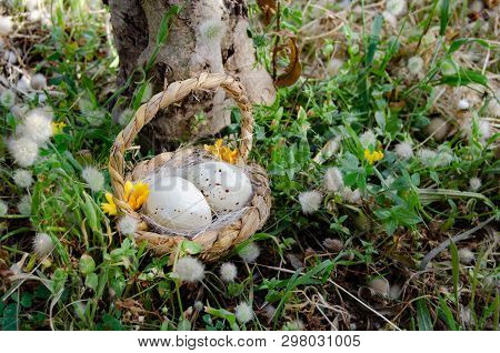 Bastket With Two Quil Eggs In The Gras With Flowers - Easter Concept.