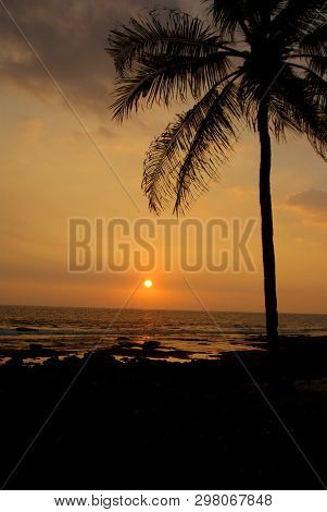 Sunset Over The Ocean With Palm Tree Silhouette Rocks And Surf