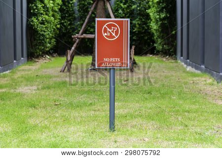 Forbid Dogs Sign In Public Garden Concepy. A Sign Prohibiting Walking Of Dogs And Other Domestic Ani