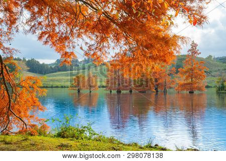 Late Afternoon Autumn Colours Over Lake At Mclaren Falls Park In Kaimai Mountain Range Tauranga.