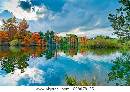 Late Afternoon Autumn Colours Over Lake At Mclaren Falls Park In Kaimai Mountain Range Tauranga.