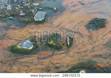 Colorful Water In Malkinskiye Hot Springs, Peninsula Kamchatka, Russia.