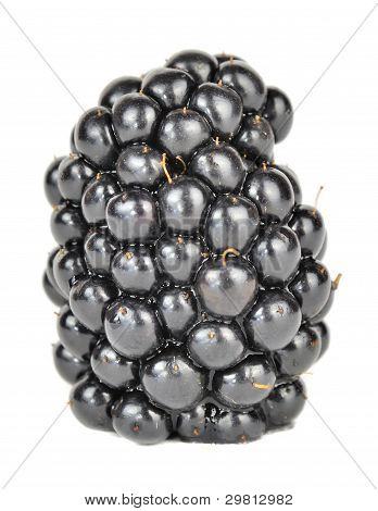 Blackberry soczysty szczegół