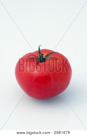Помидор