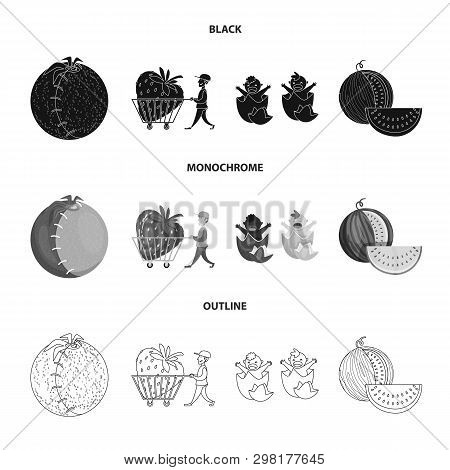 Vector Illustration Of Test And Synthetic Symbol. Set Of Test And Laboratory Stock Vector Illustrati