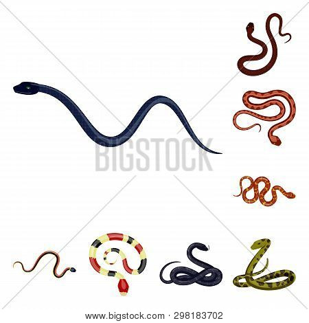 Vector Illustration Of Poison And Evil Sign. Collection Of Poison And Bite Vector Icon For Stock.