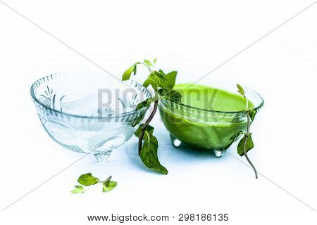 Best Home Remedy Or Treatment To Reduce Rashes Isolated On White Consisting Of Mint And Water In A G