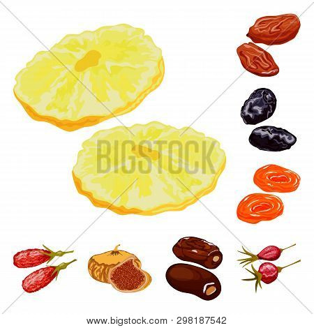Vector Illustration Of Fruit And Dried  Sign. Set Of Fruit And Food  Stock Vector Illustration.