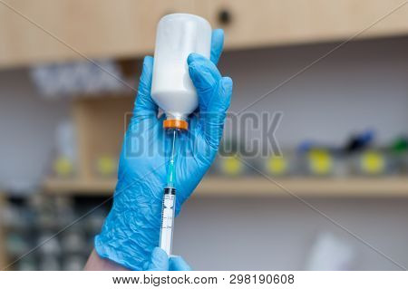 The Veterinarian Women With Blue Gloves Extract A White Drug With A Syringe