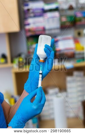The Veterinarian Women With Blue Gloves Extract A White Drug With A Syringe