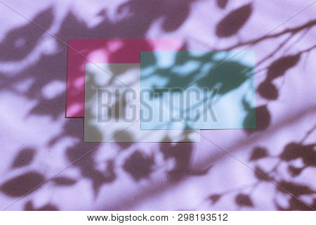 Green, Pink Empty Card, Sheet For Writing. Layout For Adding Labels. Natural Hard Light, Deep Shadow