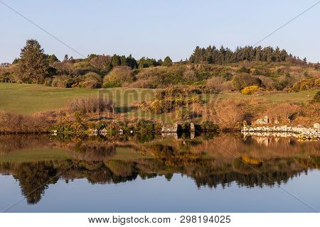 Vegetation Around Clifden Bay