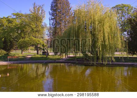 Botanical Garden In Olomouc City During Spring. Czech Republic