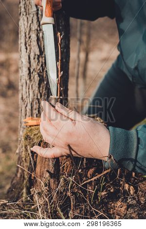 A Woman Makes A Fruit Tree In The Garden And Attaches A Young Twig