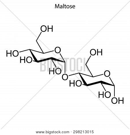 Skeletal Formula Of Maltose. Chemical Molecule . Template For Your Design . Template For Your Design