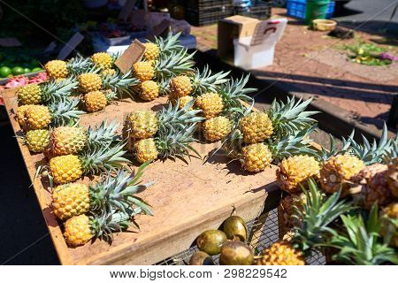 Beautiful Pineapples On  Local Market Of Saint-pierre, Reunion I