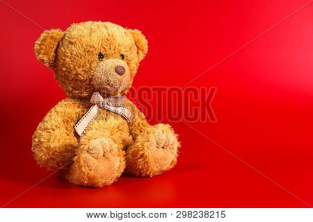 Soft Warm Cute Brown Teddy Bear On Color Backgroung. Isolated. Soft Red Background. Copy Spase For T