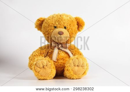 Soft Warm Cute Brown Teddy Bear On Color Backgroung. Isolated. Soft White Background. Copy Spase For