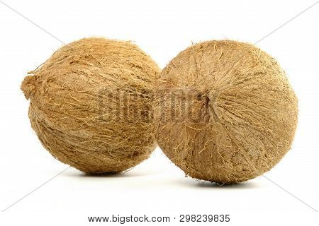Double Coconut Isolated On White  (studio Shoot Image)