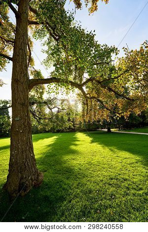 View Of Thabor Park, Rennes City , France