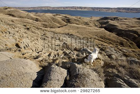 Châteaux de sable du lac Diefenbaker