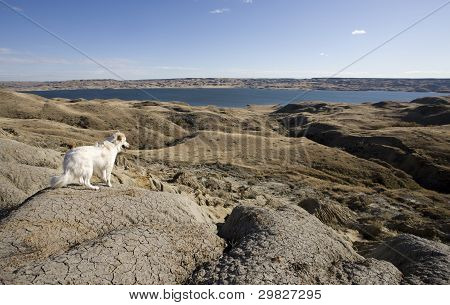 Châteaux de sable du lac Diefenbaker