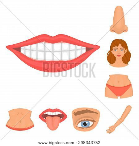 Isolated Object Of Body And Part Symbol. Collection Of Body And Anatomy Stock Symbol For Web.
