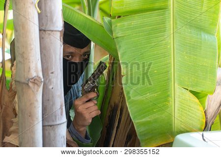 The Robber Holds A Gun Behind The Tree (banana Tree). Concept Of Unsafety In Life And Property. Warn