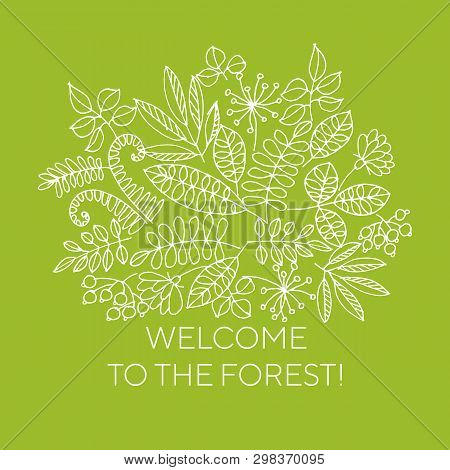 Welcome Forest Line Vector Photo Free Trial Bigstock
