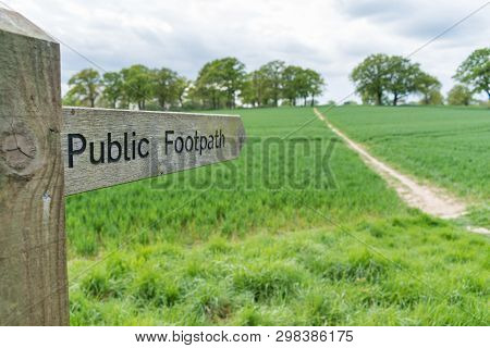 Close Up View Of A Public Footpath Sign In Surrey, Uk. The Fingerpost Points To A Muddy Path Crossin