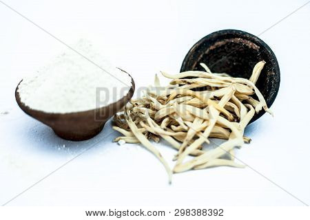 Popular Indian & Asian Ayurvedic Herb Isolated On White In A Clay Bowl I.e. Musli Or Safed Musli Or