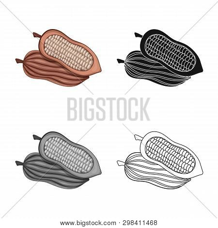 Isolated Object Of Seed And Chocolate Symbol. Set Of Seed And Farm  Vector Icon For Stock.