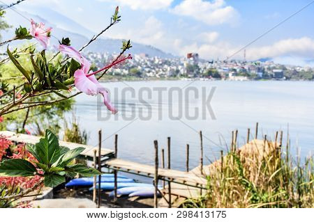 Hibiscus Flowers In Foreground With Jetty, Canoes & Lake Atitlan Behind & Town Of Santiago Atitlan, 