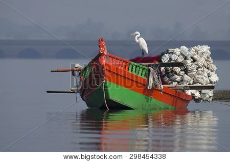 Great Egret, Ardea Alba Sitting On A Fishing Boat At Bhigwan, Pune, Maharashtra, India.